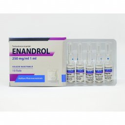ENANDROL - 10 ml by Balkan Pharmaceuticals