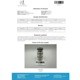 ENANTAT 250 - 10 ml by Dragon Pharma, Europe