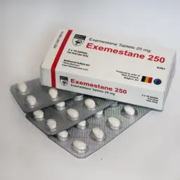 EXEMESTANE 250 - 30 tabs by Hilma Biocare