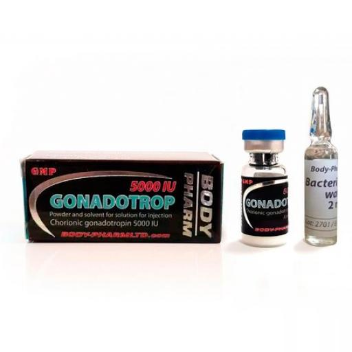 GONADOTROPIN 5000 IU (BodyPharm LTD) for Sale