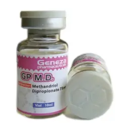 GP M.D. -  by