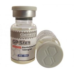 GP STEN -  by 