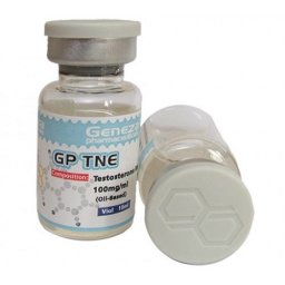 GP TNE -  by 