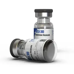 Intermediate Bulking Steroid Cycle - 100 tabs by Dragon Pharma, Europe