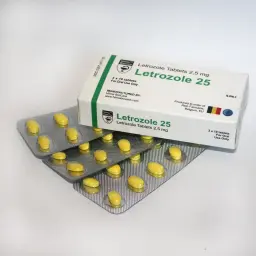 LETROZOLE 25 - 30 tabs by Hilma Biocare