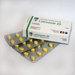 LETROZOLE 25 2.5 mg/tab 30 tabs by Hilma Biocare