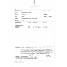 NOLVADEX - 100 tabs by Dragon Pharma, Europe