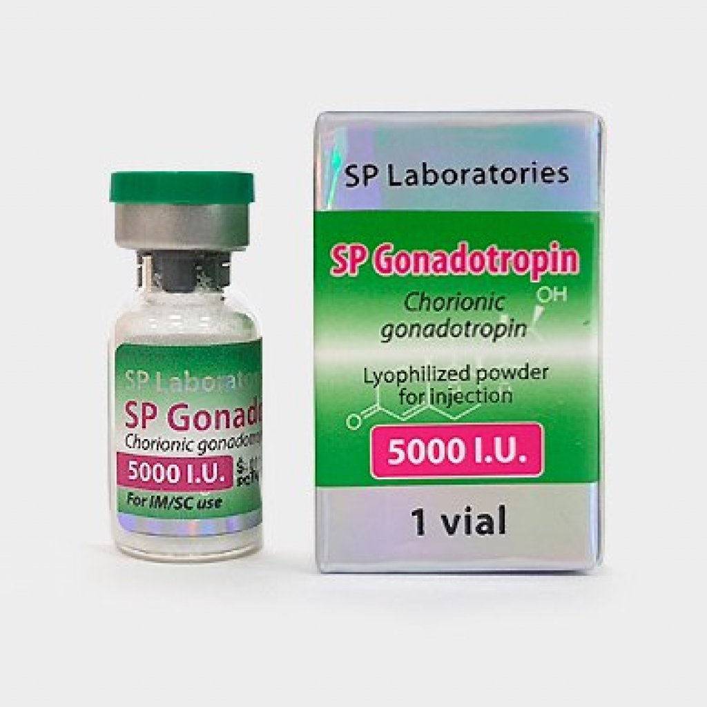SP GONADOTROPIN 5000 IU - amp by SP Laboratories SP GONADOTROPIN 5000 IU - amp by SP Laboratories
