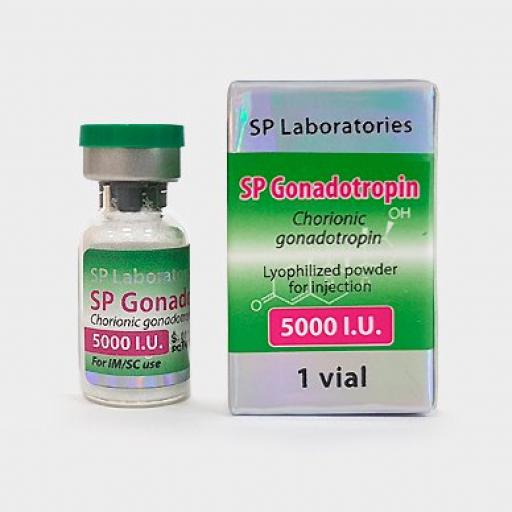 SP GONADOTROPIN 5000 IU (Peptides (hCG / rhGH / IGF-1)) for Sale