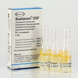 Sustanon 250 - amp by Organon Ilaclari, Turkey