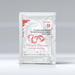 T3 - 100 tabs by Dragon Pharma, Europe