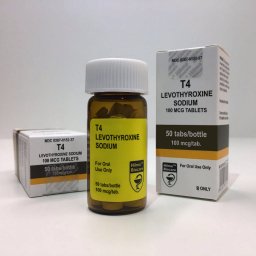 T4 LEVOTHYROXINE SODIUM 100 mcg/tab 50 tabs by Hilma Biocare