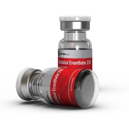TESTABOL ENANTHATE 250 - 10 ml by British Dragon Pharmaceuticals
