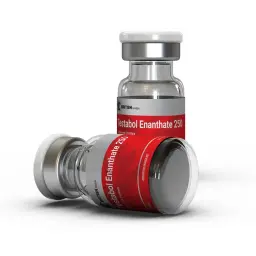 TESTABOL ENANTHATE 250 MG - 10 ml by British Dragon Pharmaceuticals