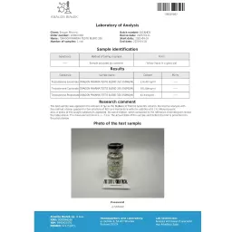 TESTO BLEND 350 - 10 ml by Dragon Pharma, Europe