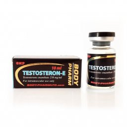 Testosteron-E - kit by 