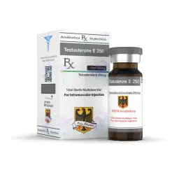 TESTOSTERONE E 250 - 10 ml by Odin Pharma