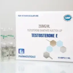 TESTOSTERONE E - 10 amps by Ice Pharmaceuticals