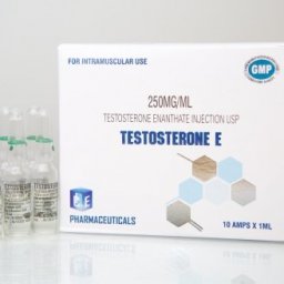 TESTOSTERONE E - 10 amps by Ice Pharmaceuticals