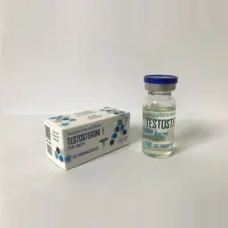 TESTOSTERONE E - 10 ml by Ice Pharmaceuticals