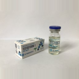 TESTOSTERONE E - 10 ml by Ice Pharmaceuticals