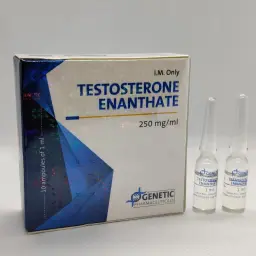 TESTOSTERONE ENANTHATE - 10 amps by Genetic Pharmaceuticals