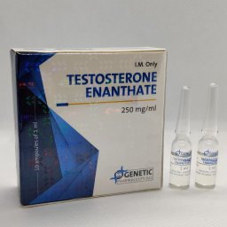 TESTOSTERONE ENANTHATE - 10 amps by Genetic Pharmaceuticals TESTOSTERONE ENANTHATE - 10 amps by Genetic Pharmaceuticals