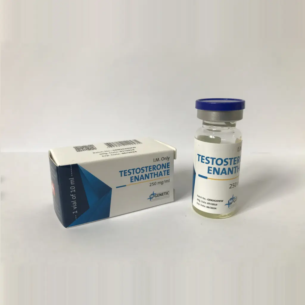 TESTOSTERONE ENANTHATE - 10 ml by Genetic Pharmaceuticals TESTOSTERONE ENANTHATE - 10 ml by Genetic Pharmaceuticals