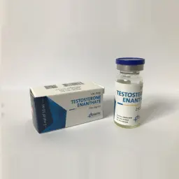 TESTOSTERONE ENANTHATE - 10 ml by Genetic Pharmaceuticals