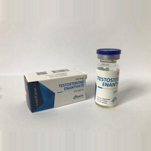 TESTOSTERONE ENANTHATE (Genetic Pharmaceuticals) for Sale