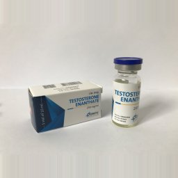TESTOSTERONE ENANTHATE - 10 ml by Genetic Pharmaceuticals