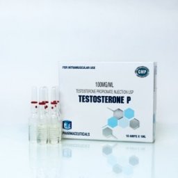 TESTOSTERONE P - 10 amps by Ice Pharmaceuticals