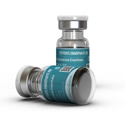 TESTOXYL ENANTHATE 250 - 10 ml by Kalpa Pharmaceuticals LTD, India