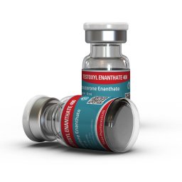 TESTOXYL ENANTHATE 400 - 10 ml by Kalpa Pharmaceuticals LTD, India TESTOXYL ENANTHATE 400 - 10 ml by Kalpa Pharmaceuticals LTD, India