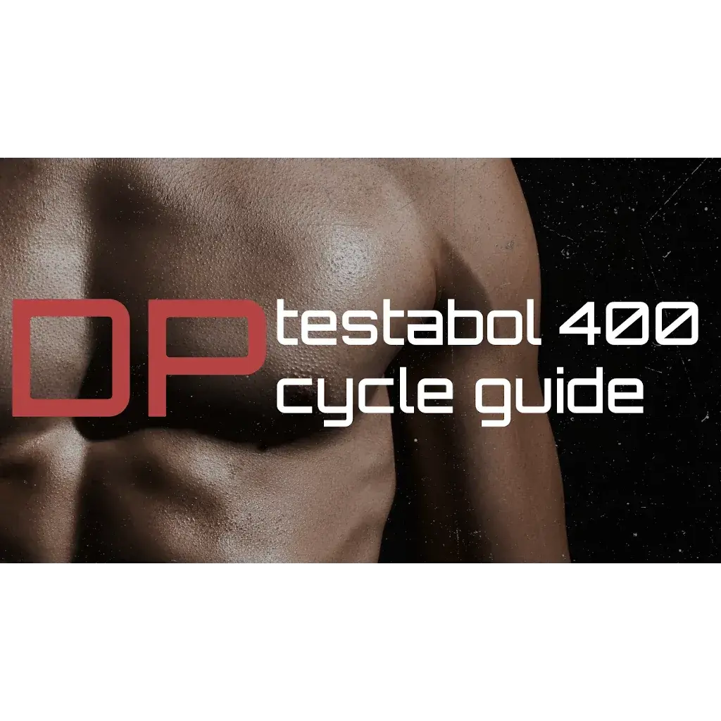 Testabol 400 Cycle Guide: Best Practices for Stacking and Post-Cycle Therapy